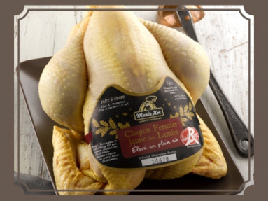 chapon_fermier.jpg